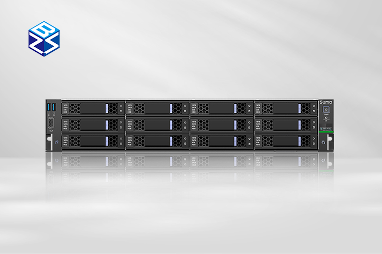 海光服務(wù)器與國(guó)產(chǎn)系統(tǒng)完成適配 共筑數(shù)字化未來(圖1)