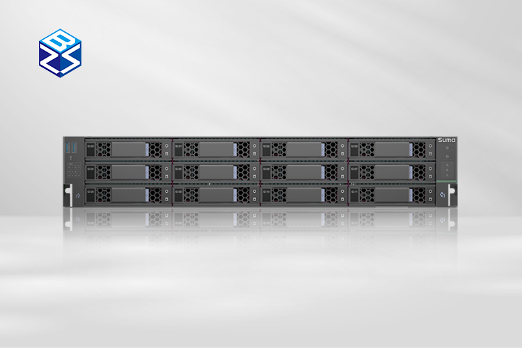 海光雙路服務(wù)器R5240H0 助力政務(wù)數(shù)據(jù)中心高效運(yùn)營(圖1)